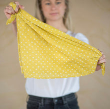 Load image into Gallery viewer, No. 002 Ellis Bandana