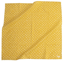 Load image into Gallery viewer, No. 002 Ellis Bandana