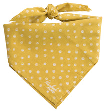 Load image into Gallery viewer, No. 002 Ellis Bandana