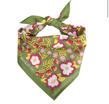 Load image into Gallery viewer, No. 065 Alma Bandana