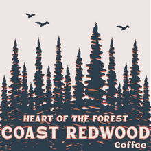 Load image into Gallery viewer, COAST REDWOOD
