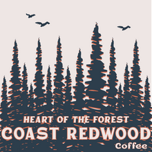 Load image into Gallery viewer, COAST REDWOOD