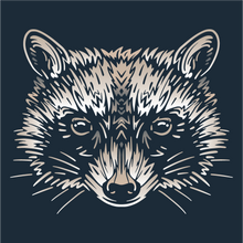 Load image into Gallery viewer, NICARAGUA